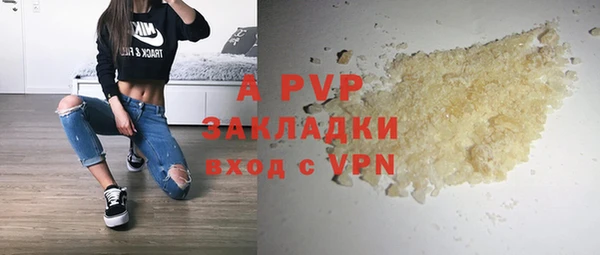 стафф Коряжма