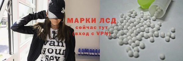 стафф Коряжма