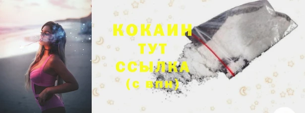 стафф Коряжма
