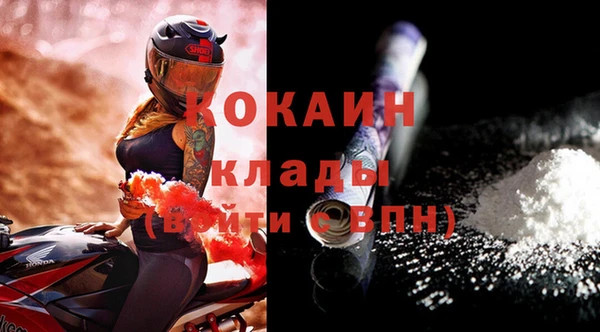 стафф Коряжма