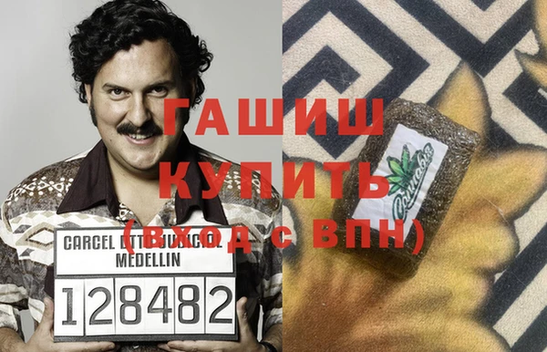 стафф Коряжма